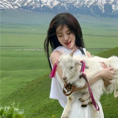 腐烂之城海报