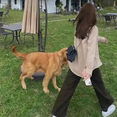 超燃美食记第二季海报