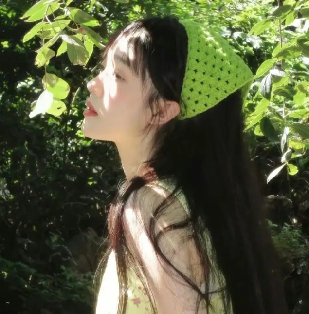 兽之心海报